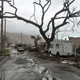 Árboles caídos y escombros en las calles de isla Tórtola, en las Islas Vírgenes Británicas. (Foto: AP Images)